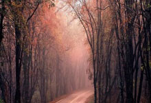 覃海洋晒病历单:腰背痛伴右膝痛、颈肩痛复发,建议加强部位锻炼.