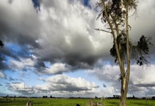 [CBA]上海“三巨头”齐发力 主场大胜吉林男篮.