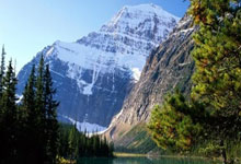 浙江男篮官方:常规赛主场收官战将提供1000名球迷免费观赛的福利.